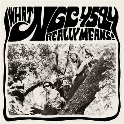 NGC-4594 - What NGC-4594 Really Means! (LP | 7" Vinyl)