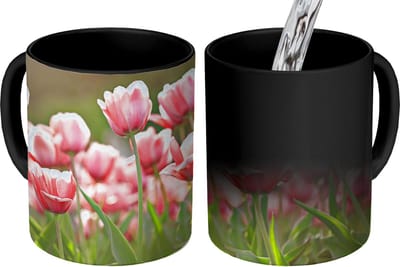 Magische Mok - Foto op Warmte Mokken - Koffiemok - Tulpen - Zon - Lente - Magic Mok - Beker - 350 ML - Theemok