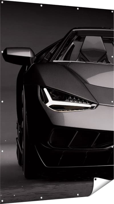 Gards Tuinposter Zwarte Sportwagen Auto - 120x180 cm - Tuindoek - Tuindecoratie - Wanddecoratie buiten - Tuinschilderij