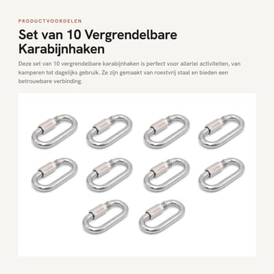 Dailygoods- Karabijnhaak Vergrendeling - 10 Stuks - Roestvrij Staal - Sleutelhanger - Hondenriem - Geschikt voor Kamperen/Wandelen - Haak