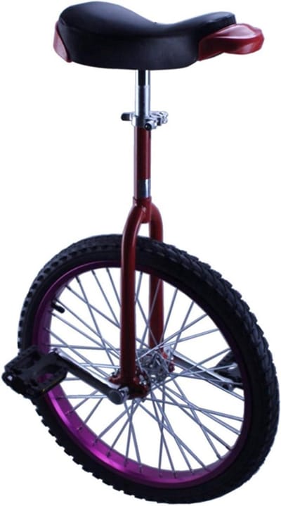 Eenwieler - Balansfiets - Balans Verbeteren - Verstelbare Zadelhoogte - 16 inch - Paars