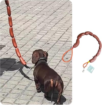 Huisdier Riem - Hondenriem Leash - Huisdier Wandelen - Creatieve Worst Vorm - 236 cm - Bruin