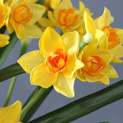 Bouquet de Jonquilles Artificielles Faux Bouquet de Narcisses Simulation Plante d'Intérieur Bouquet de Fleurs en Plastique Type 3