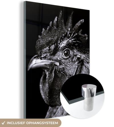 MuchoWow® Glasschilderij 120x160 cm - Schilderij acrylglas - Haan - Vogel - Zwart - Wit - Foto op glas - Schilderijen