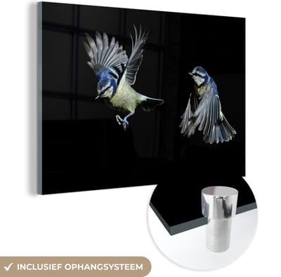 MuchoWow® Glasschilderij 120x80 cm - Schilderij acrylglas - Vogel - Veren - Portret - Foto op glas - Schilderijen