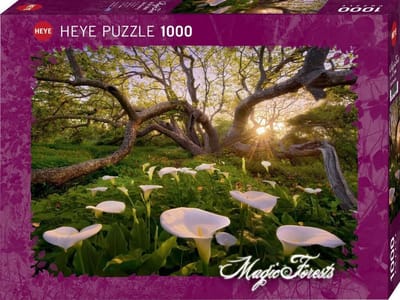 Puzzel 1000 Stukjes - Legpuzzel Volwassenen - Ontspanning Thuis - Gedetailleerd Ontwerp - 37x27x5.5 cm - Zilver