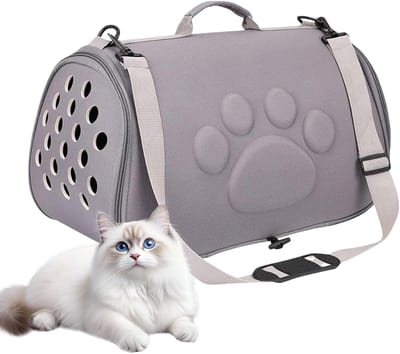 Opvouwbare Draagtas - Huisdier Reistas - Comfortabel Reizen - Lichtgewicht EVA Materiaal - Maten L 52x32x32cm - Grijs