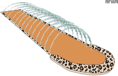 RFWR® Opblaasbare Waterglijbaan met Beige Panterprint - 5,5 Meter Voor Kinderen