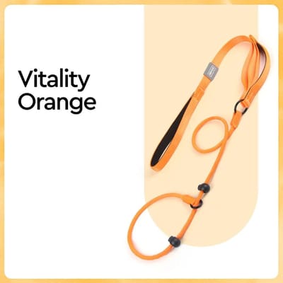 Premium Lijn Hoge Kwaliteit Nylon Slip Lijn Hond Slip Lijn en Halsband Hond Trainingslijn met Dubbel Handvat Heavy Duty Hond Lijn Geen Trekken Puppy Wandelen 170cm x 0.6cm