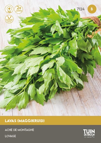 Lavas Zaden – Maggiplant – ±130 Zaden – Meerjarig Kruidenzaad – Levisticum Officinale – Sterk Aromatisch – Voor Moestuin, Kruidentuin en Pot