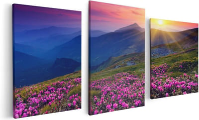 Artaza Canvas Schilderij Drieluik Roze Rhododendron Bloemenveld - Bergen - 120x60 - Foto Op Canvas - Canvas Print