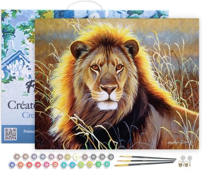 Figured'Art Schilderen op Nummer Volwassenen met lijst - Leeuw in de savanne - Handwerk acrylverf Kit DIY Compleet - 40x50cm Canvas al ingelijst