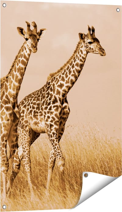 Gards Tuinposter Twee Giraffes in het Veld - 60x90 cm - Tuindoek - Tuindecoratie - Wanddecoratie buiten - Tuinschilderij
