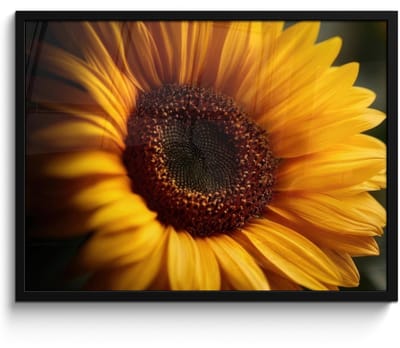 Poster in lijst - Fotolijst 70x50 cm - Posters - Geel - Zonnebloem - Zomers - Posterlijst zwart - Decoratie - Wanddecoratie woonkamer - Muurdecoratie slaapkamer