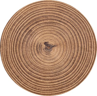 Badmat rond 70x70 cm - Antislip - Boomstam - Hout - Bruin - Badmatten voor badkamer - Badkamermat - Douchemat - Ronde badkamer mat