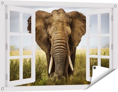Gards Tuinposter Doorkijk Olifant in het Wild - Kleur - 90x60 cm - Tuindoek - Tuindecoratie - Wanddecoratie buiten - Tuinschilderij