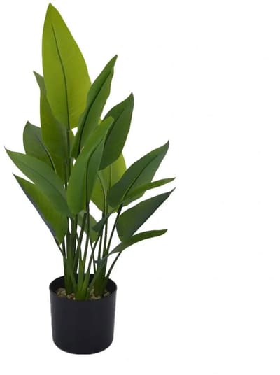 Buitengewoon de boet - Strelitzia 70 cm kunstplant
