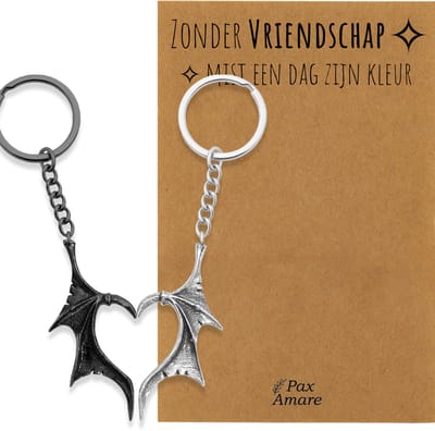 BFF Sleutelhanger voor 2 'Zonder Vriendschap mist een dag zijn kleur' - Vleugels Hart - Sleutelhanger set op Cadeau Kaartje - Zilverkleurig & Zwart - Vriendschap Symbool - Pax Amare