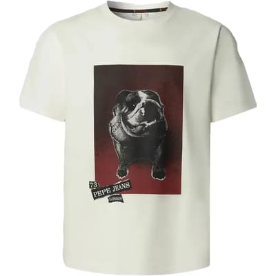 Pepe Jeans Gavin T-shirt Met Korte Mouwen Wit S Man