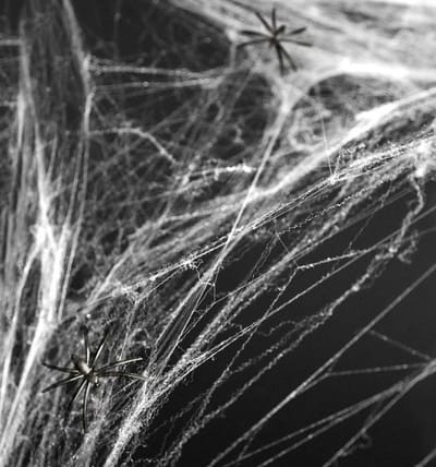 Spinnenweb decoratie - wit - met 2 spinnen - Halloween versiering - spinnenwebben - horror versiering