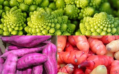 Exotische groenten set van 6 zaden