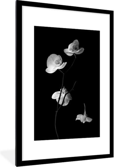 Fotolijst incl. Poster - Orchidee - Bloemen - Zwart - Wit - Stilleven - 80x120 cm - Posterlijst