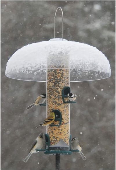 Buisvoeder Vogelvoer - Vogelvoederhuisje Voederbuis - Vogels Voeren - Snel Reinigbare Bodem - 35 Liter - Groen