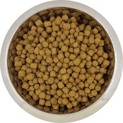 Yourdog Dwerg- of Toypoedel Rasspecifiek Senior Hondenvoer 12kg | Hondenbrokken