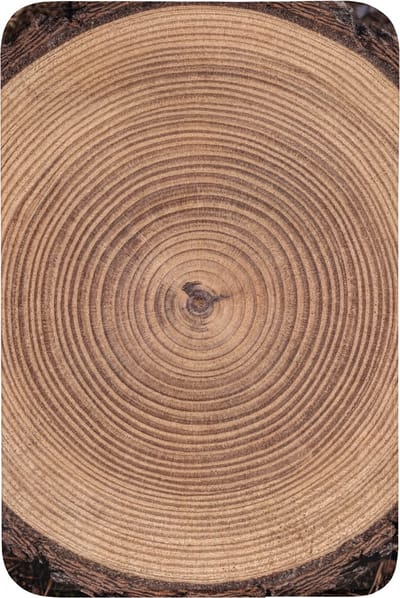 Badmat 60x90 cm - Antislip - Boomstam - Hout - Bruin - Badmatten voor badkamer - Badkamermat - Douchemat - Badkamer mat