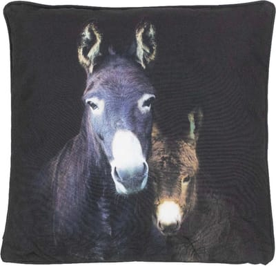 Mars & More Ezels outdoor buitenkussen 50x50cm