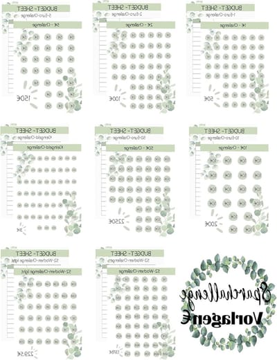 24-delige Budget Planner A6 voor Duitse spaardoelen met accessoires voor €2.5, €10, €20, €50 en 52 weken, 100 weken en spaar dagen (Eucalyptus)