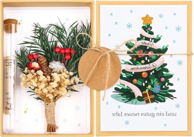 Unieke Dried Flowers Gift Box met Test Tube - Creatieve Verpakking voor Geld en Vouchers als Kerst- en Nieuwjaarsgeschenk voor Familie en Vrienden