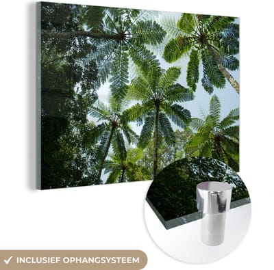 MuchoWow® Glasschilderij 60x40 cm - Schilderij acrylglas - Bomen en bladeren in jungle - Foto op glas - Schilderijen