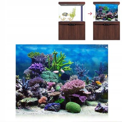 Achterwand Aquarium 122x50 cm - Levendige Oceaan & Planten Decoratie