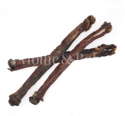 Mollie & Babs - Paardenpees - Ambachtelijk Gedroogd - Hondensnacks - Kauwsnacks - 100% Paard - 100% Natuurlijk - Hypoallergeen - Ca 50 cm