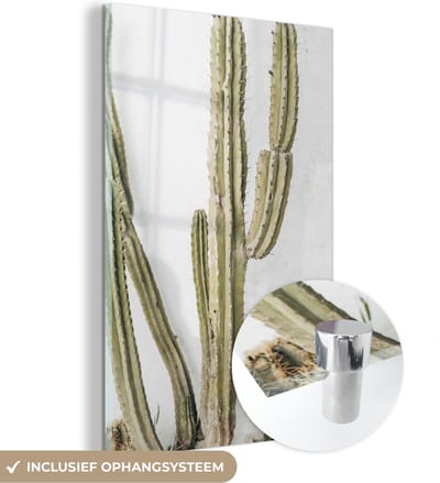 MuchoWow® Glasschilderij 120x180 cm - Schilderij acrylglas - Cactus - Zomer - Planten - Foto op glas - Schilderijen