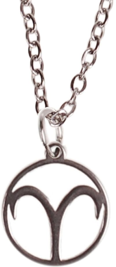 Ketting Zilverkleurig 55cm - Hangertje Sterrenbeeld RVS - Ram
