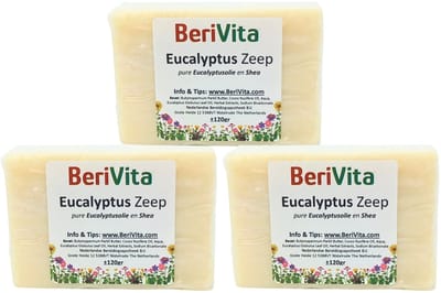 Eucalyptus Zeep 3x120gr - Natuurlijke Zeeptabletten met Eucalyptusolie en Shea Butter