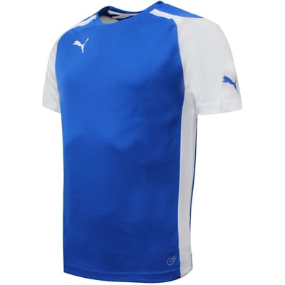 Puma Speed Jersey Training Sport T-shirt Blauw - Heren