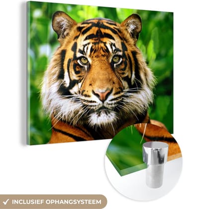 MuchoWow® Glasschilderij 160x120 cm - Schilderij acrylglas - Tijger - Kop - Bos - Foto op glas - Schilderijen