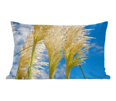 Sierkussens - Kussentjes Woonkamer - 50x30 cm - Planten - Pampasgras - Lucht