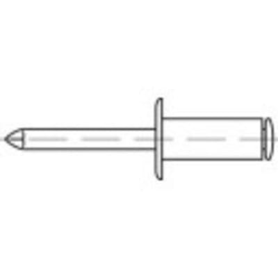 TOOLCRAFT 159901 Open popnagel (Ø x l) 5 mm x 45 mm Staal Staal 100 stuk(s)