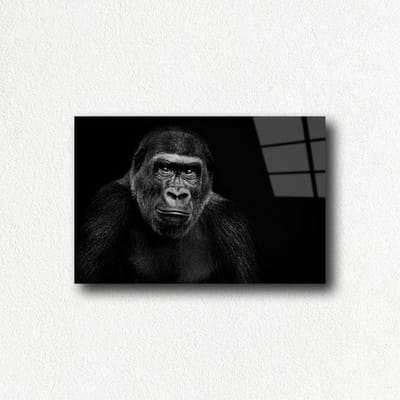 Indoorart - Glasschilderij aap 60x40 CM - Afbeelding op plexiglas - Inclusief montagemateriaal