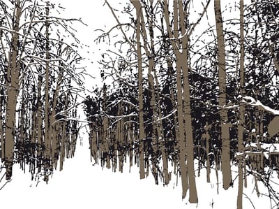 Fotobehang - trees - autumn.