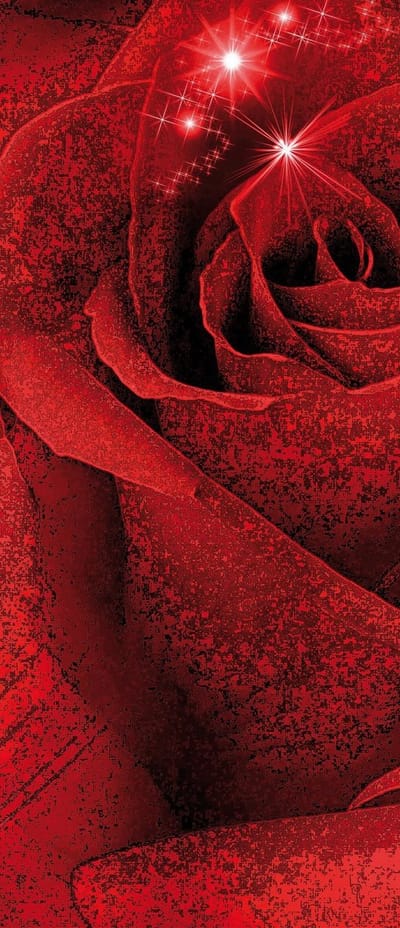 Flower Rose Abstract  Photo Wallcovering