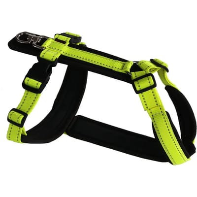 Hondentuig Akah Tracker