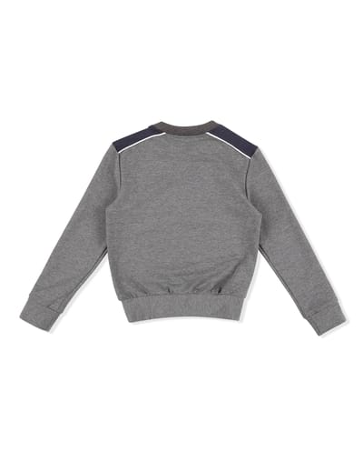 Sweatshirt Lion