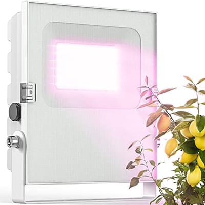 LED-plantenlamp voor het overwinteren van mediterrane planten - Volledig spectrum plantenlicht
