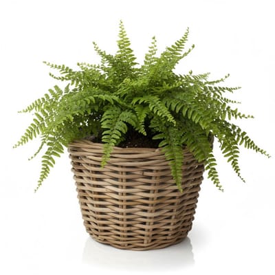 VD Leeden Plantenmand Klassiek - rond - bruin - 35 x 25 cm - rotan - gevlochten riet - bloempot