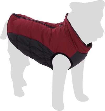 Flamingo Lima - Kledij Honden - Winterjas Lima Bordeaux 30cm - 1st - 139400 - 1st